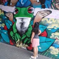 alonsod123xd