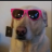 un_npcmas